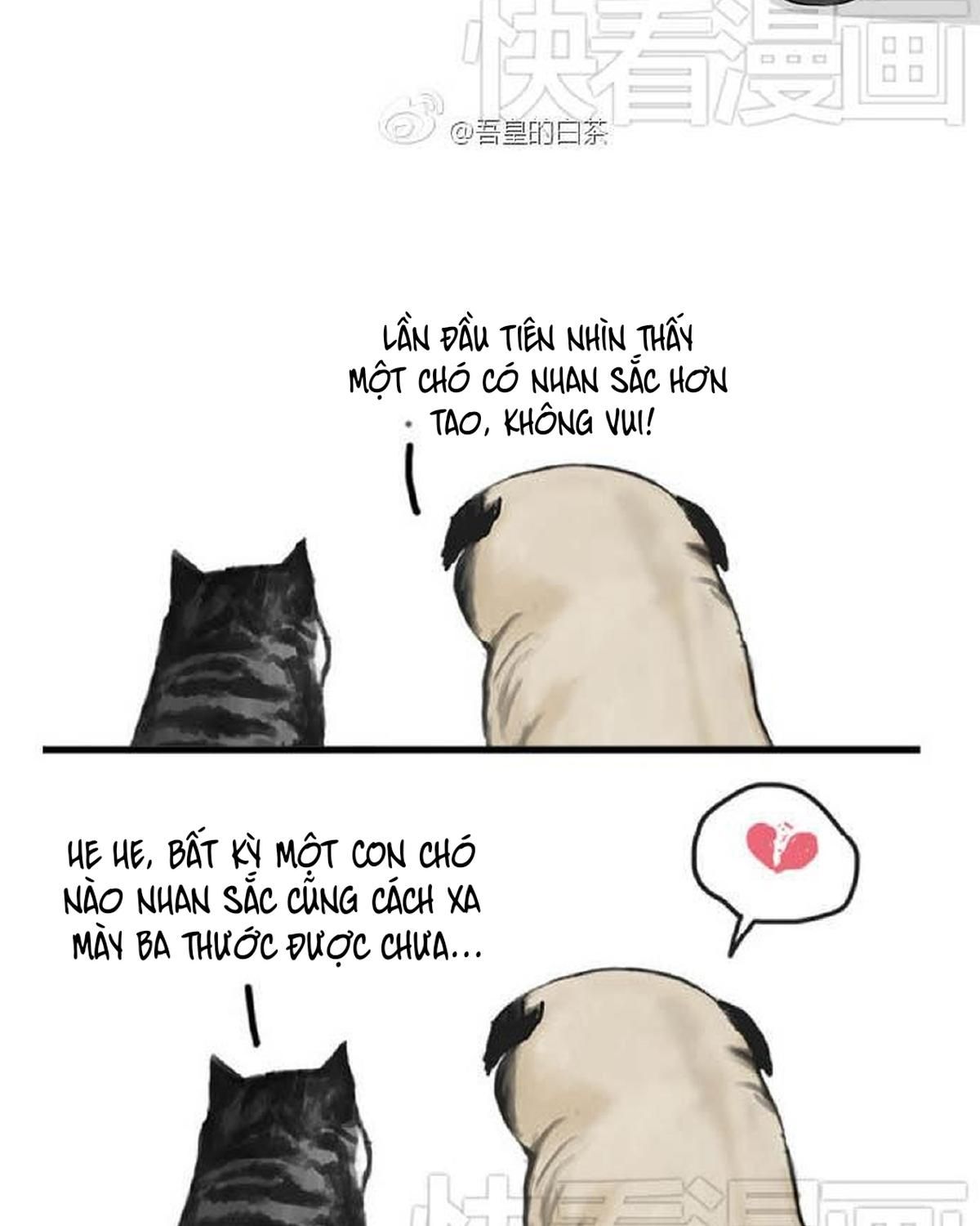 Hoàng Thượng và Ba Trát Hắc Chap 31 - Next Chap 32