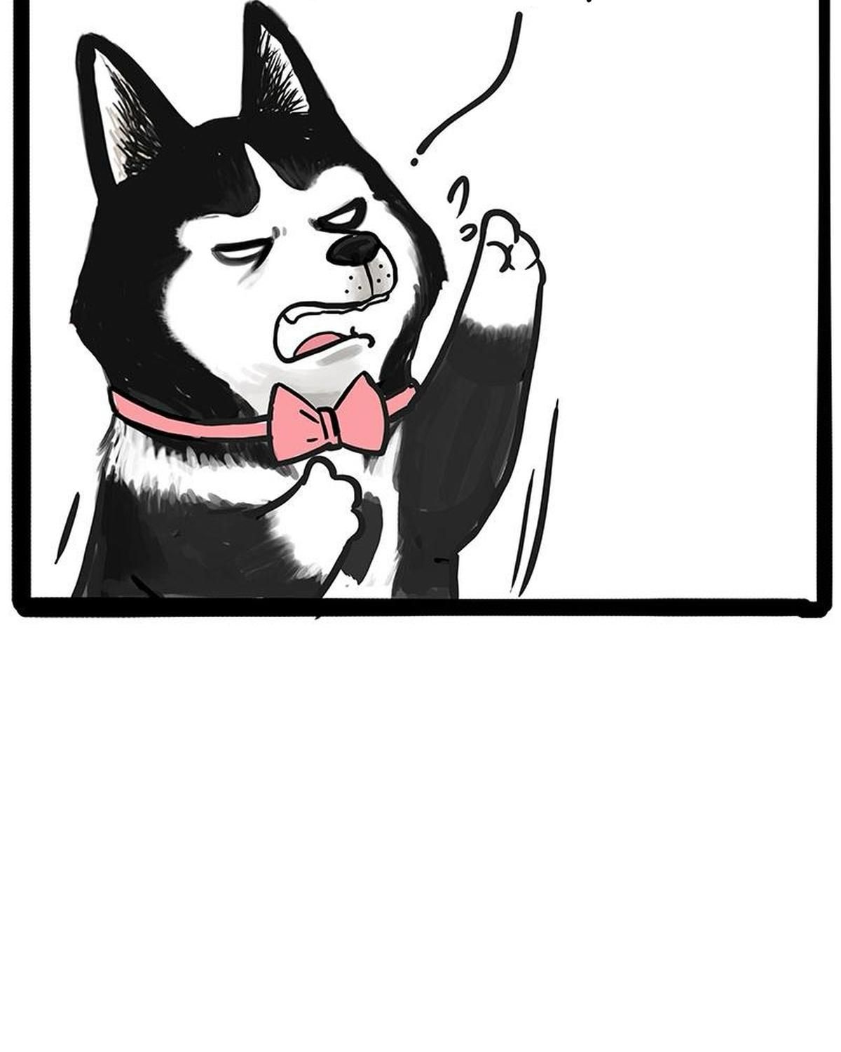 Hoàng Thượng và Ba Trát Hắc Chap 347 - Next Chap 348