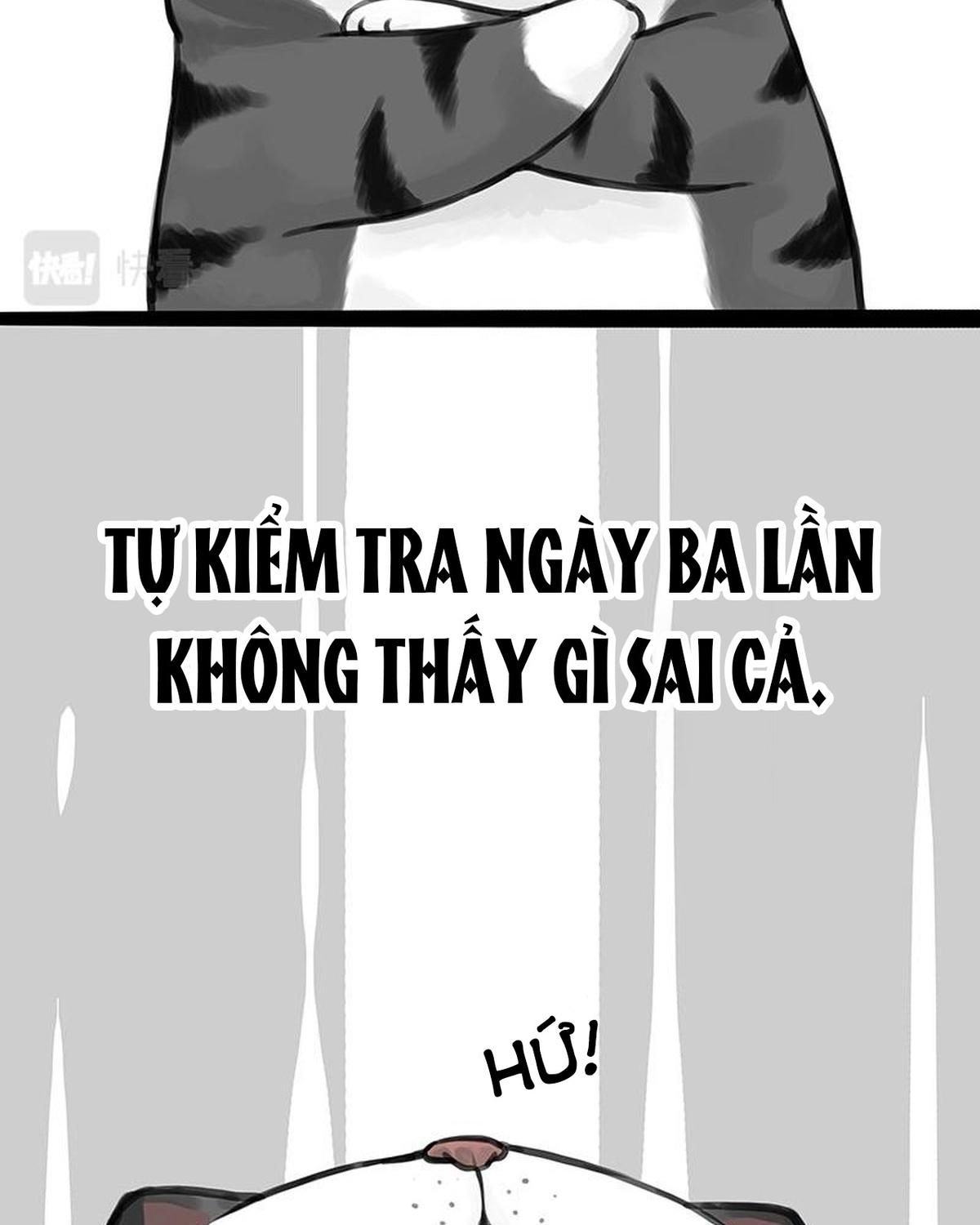 Hoàng Thượng và Ba Trát Hắc Chap 356 - Next Chap 357