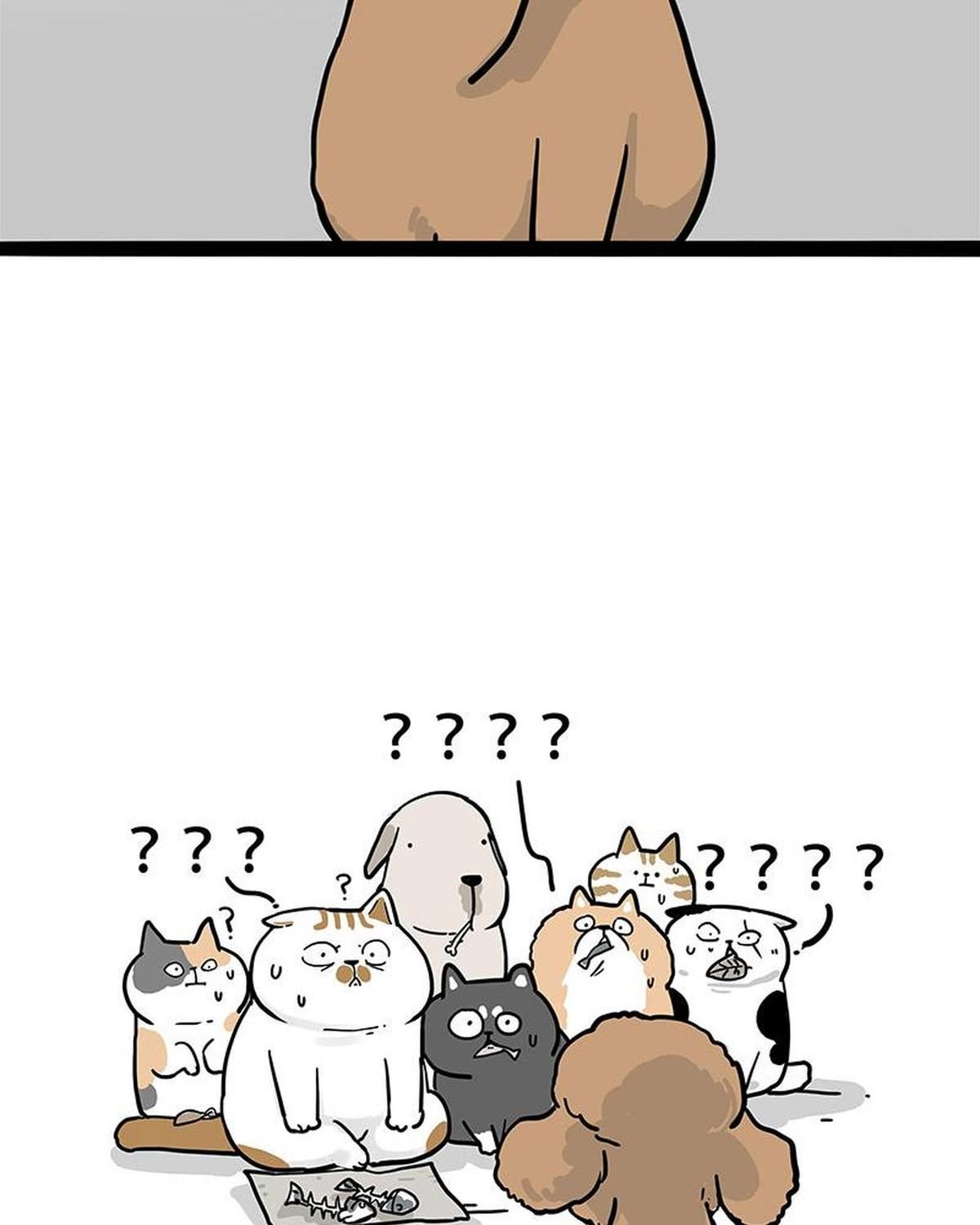 Hoàng Thượng và Ba Trát Hắc Chap 365 - Next Chap 366