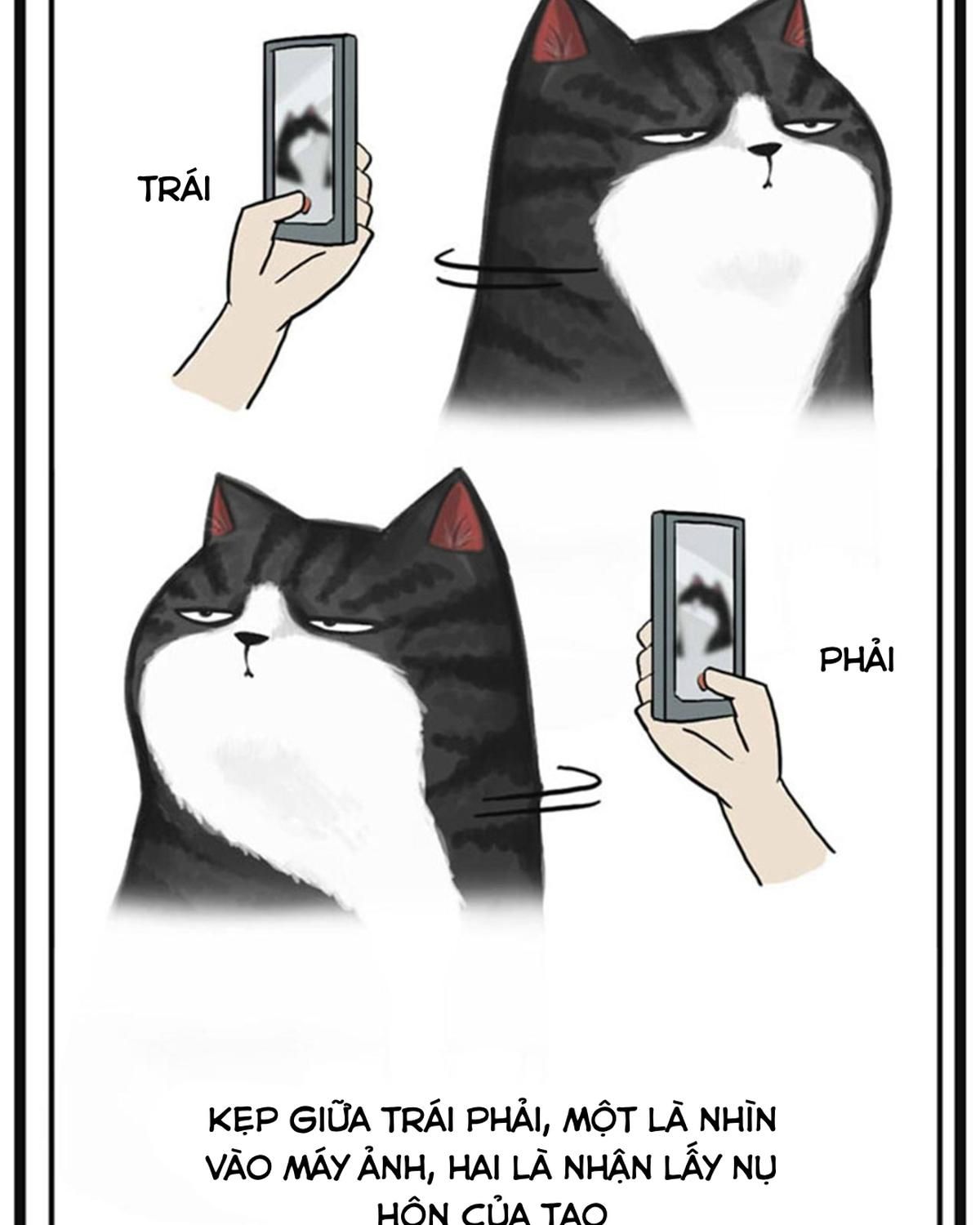 Hoàng Thượng và Ba Trát Hắc Chap 37 - Next Chap 38