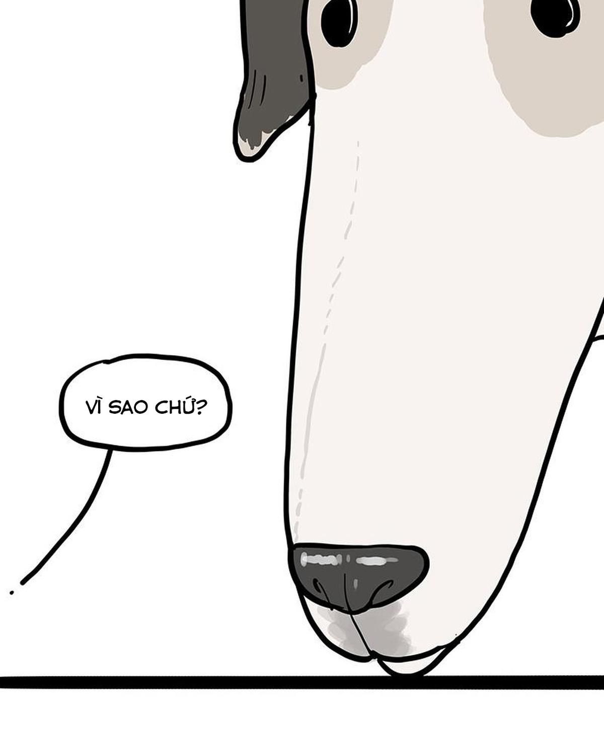 Hoàng Thượng và Ba Trát Hắc Chap 390 - Next Chap 391