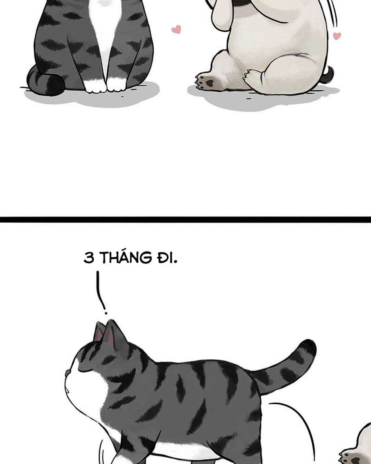 Hoàng Thượng và Ba Trát Hắc Chap 392 - Next Chap 393