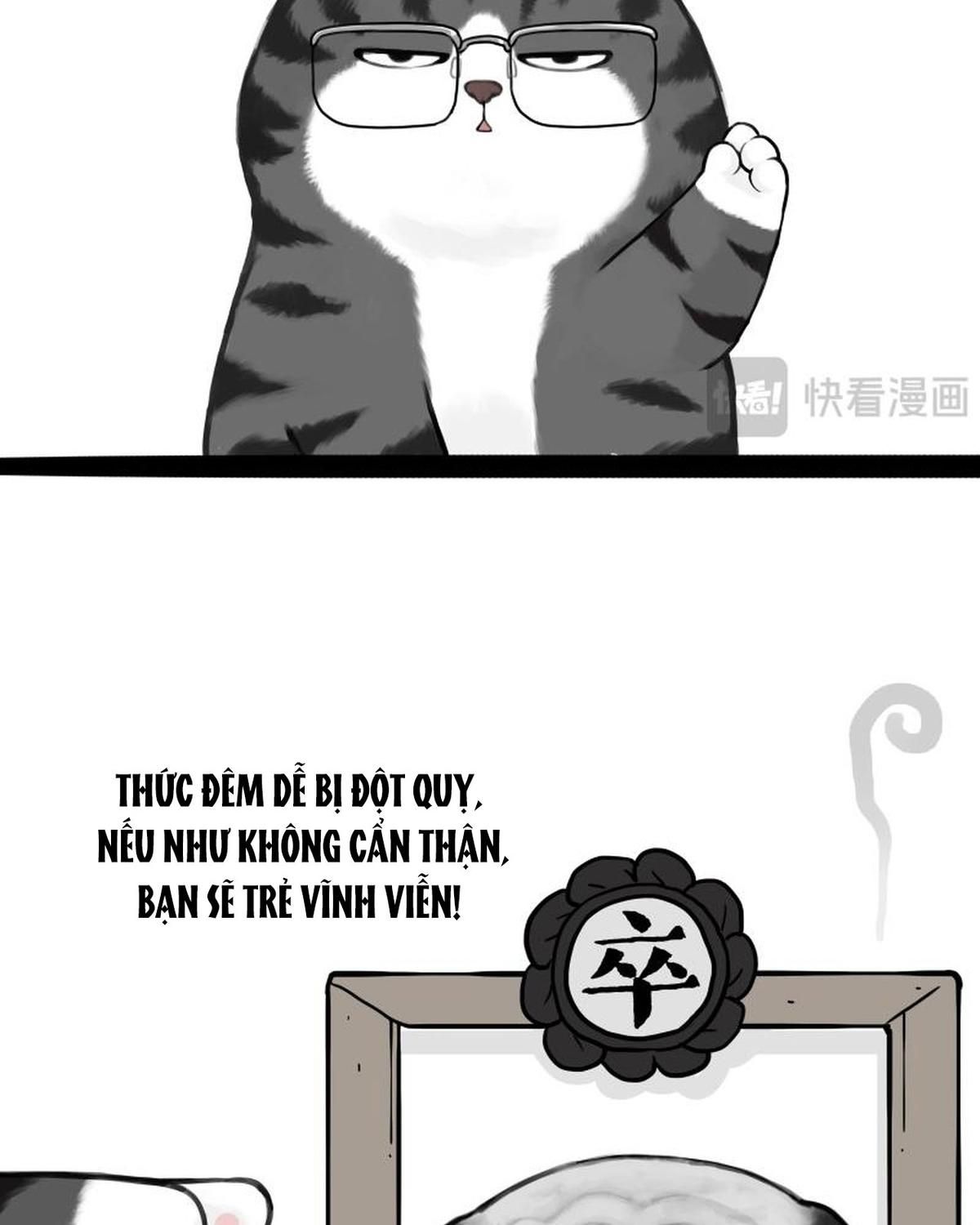 Hoàng Thượng và Ba Trát Hắc Chap 431 - Next Chap 432