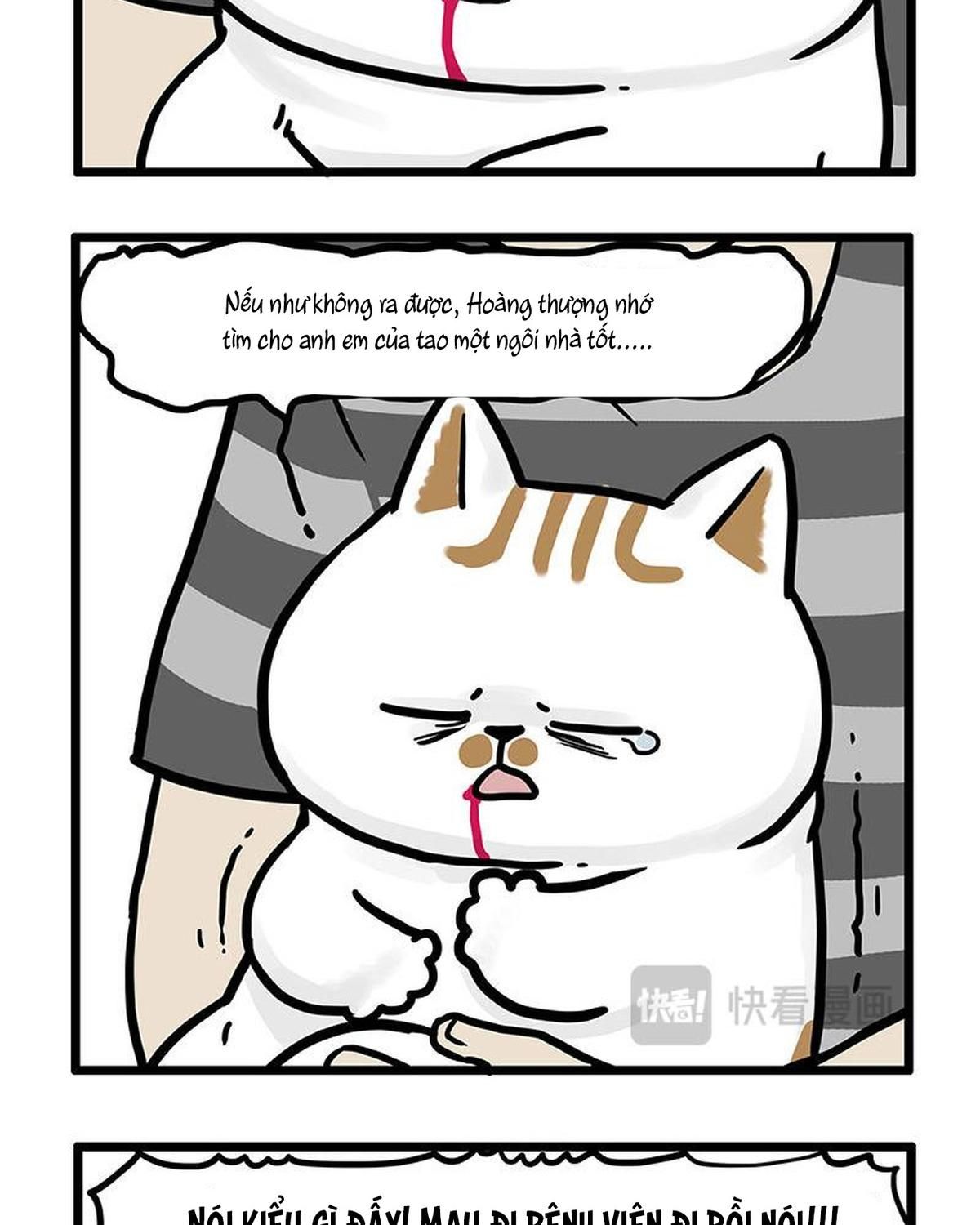 Hoàng Thượng và Ba Trát Hắc Chap 440 - Next Chap 441