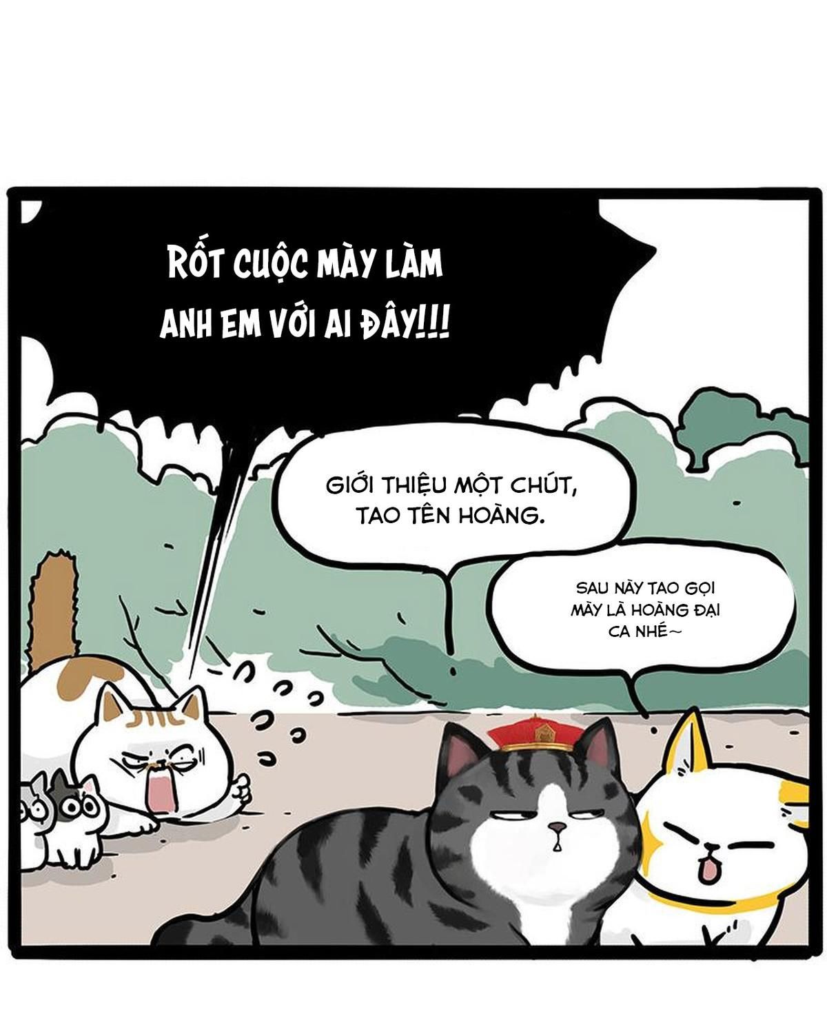 Hoàng Thượng và Ba Trát Hắc Chap 446 - Next Chap 447