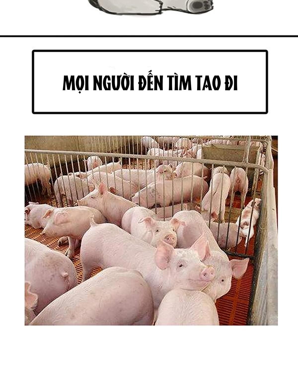 Hoàng Thượng và Ba Trát Hắc Chap 68 - Next Chap 69