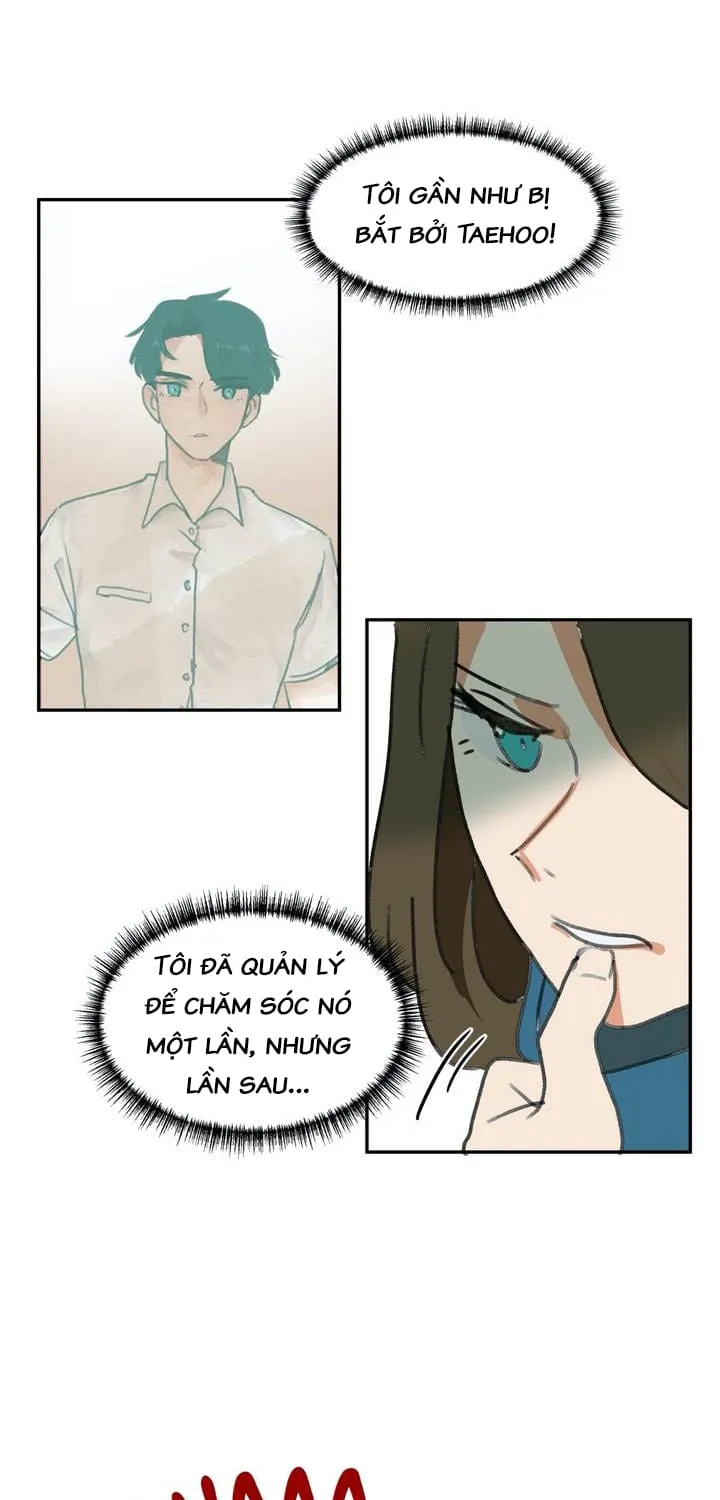 Hoàng Tử Lọ Lem Chap 2 - Next Chap 3