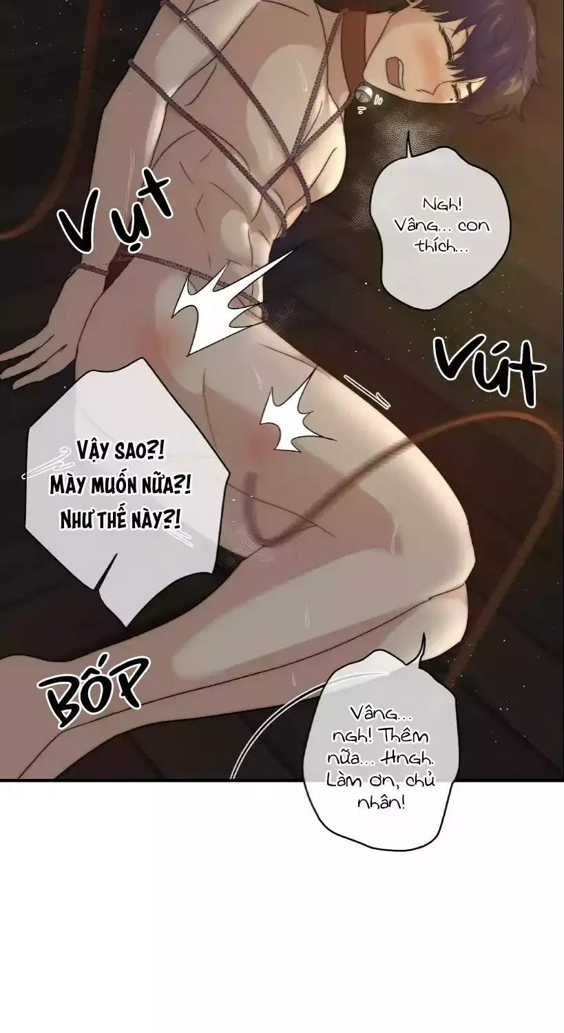 Hoàng Tử Lọ Lem Chap 5 - Next Chap 6
