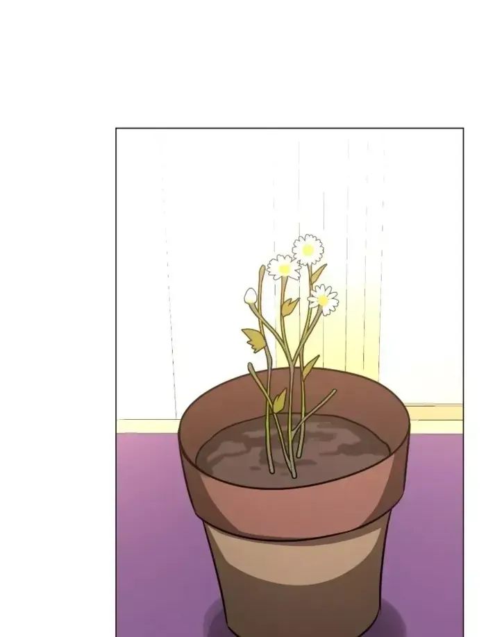 Học Viện Phá Sản Chap 51 - Next Chap 52