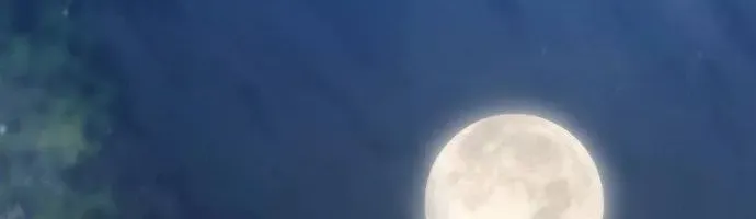 Hồi Quy Giả Chap 140 - Next Chap 141