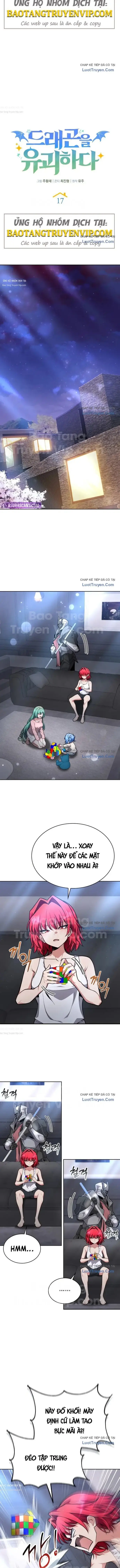 Hồi Quy Trở Thành Người Bảo Hộ Rồng Chap 17 - Next Chap 18