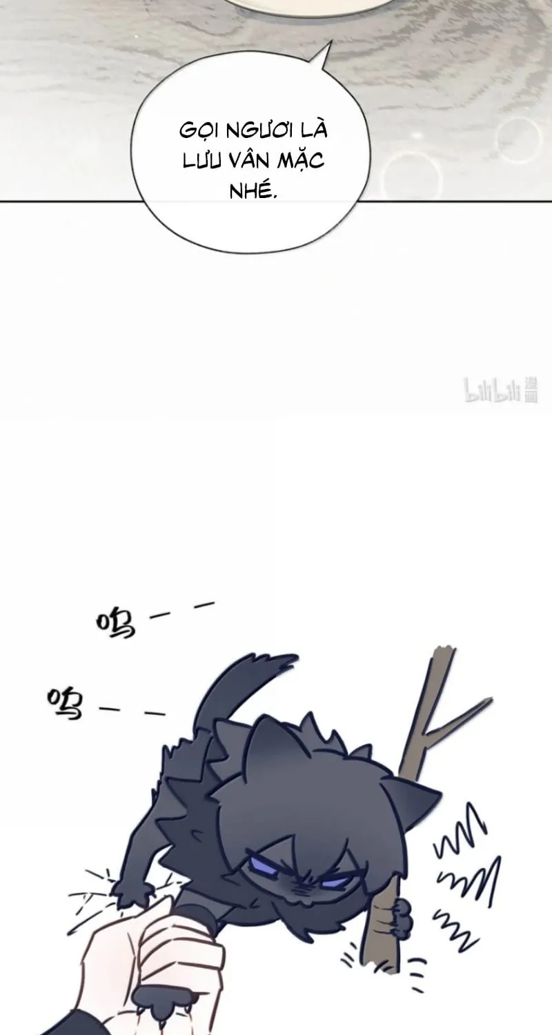 Hôm Nay Điện Hạ Bị Ám Sát Rồi À? Chap 40 - Next Chap 41