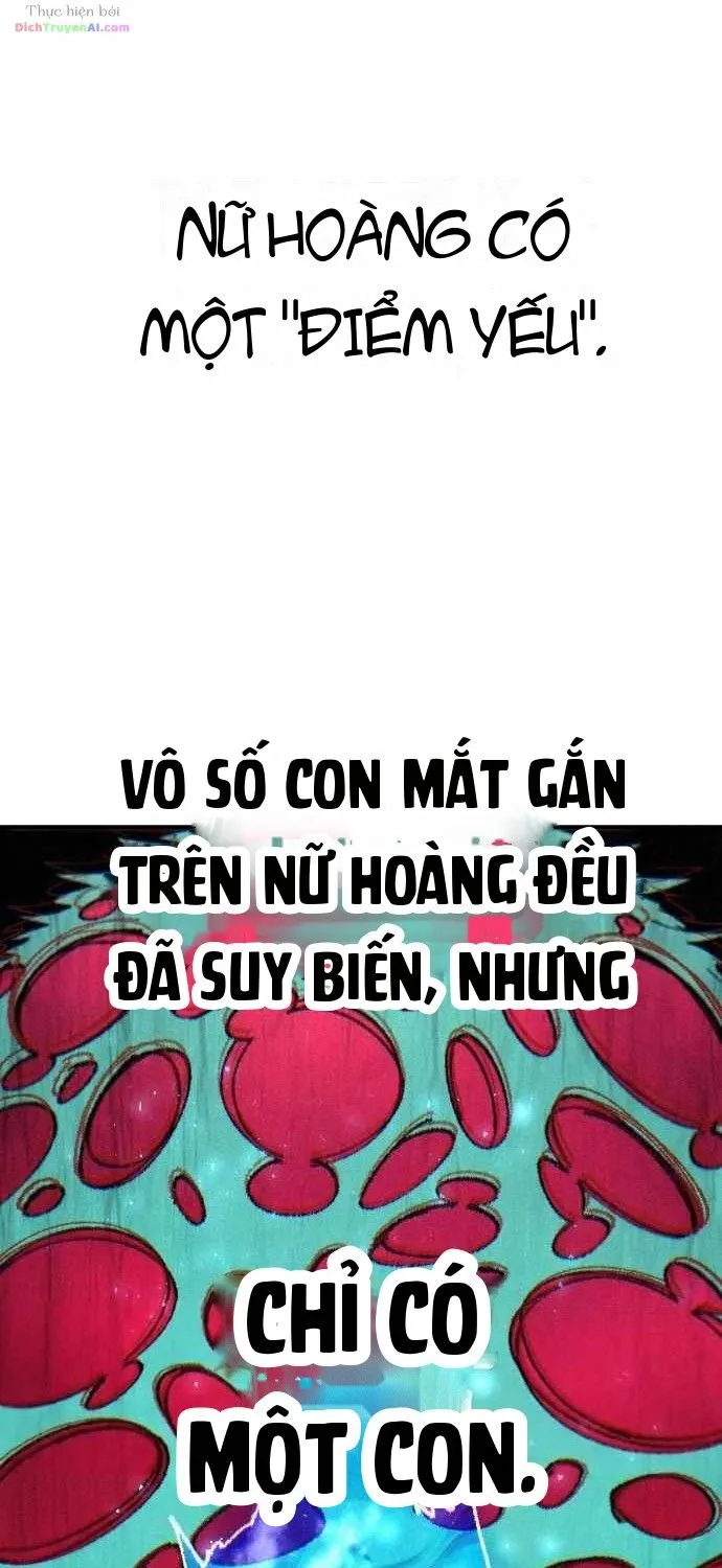 Hòn Đảo Sao Và Xiềng Xích Chap 76 - Next Chap 77