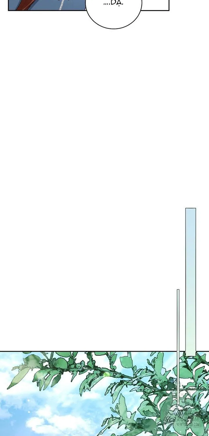 Hôn Phu À, Ta Biết Chàng Ghét Ta Chap 24 - Next Chap 25