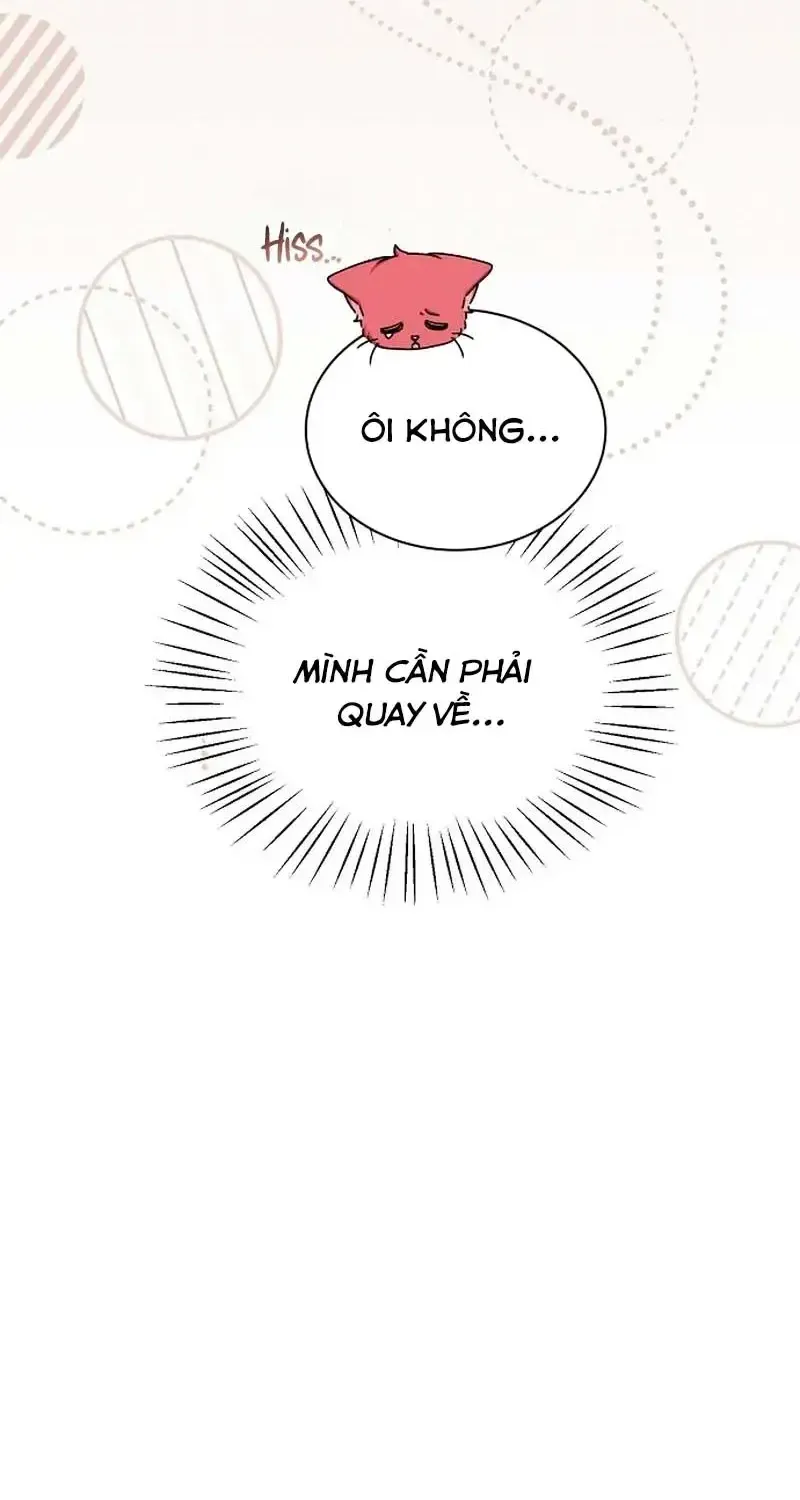 Hôn Phu Luôn Muốn Nuôi Nấng Tôi Chap 37 - Next Chap 38