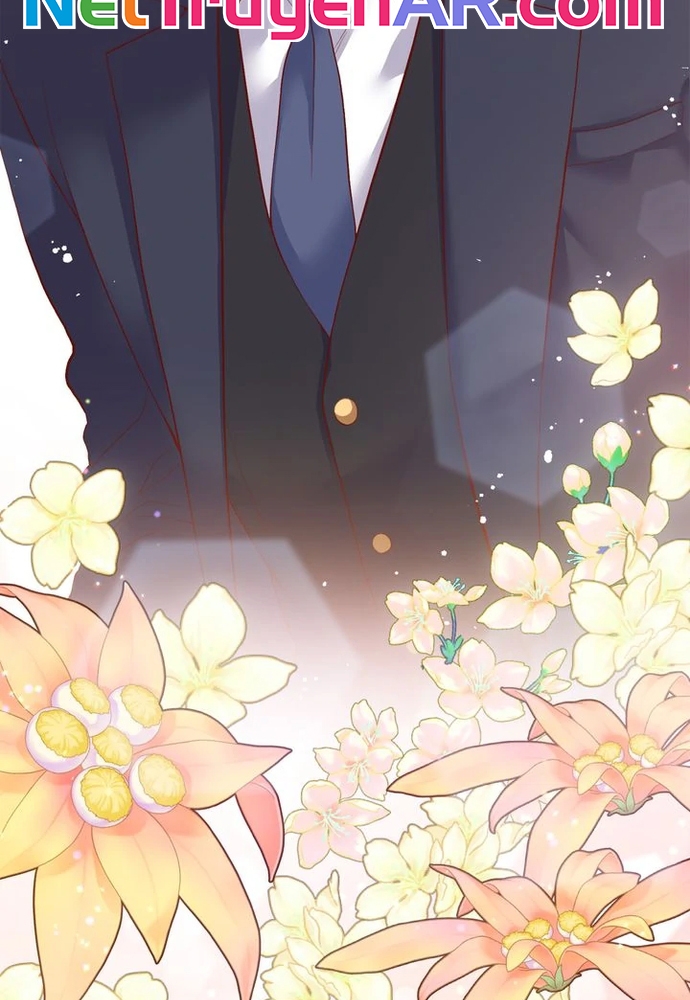 Hợp Đồng Hôn Nhân Chap 1 - Next Chap 2