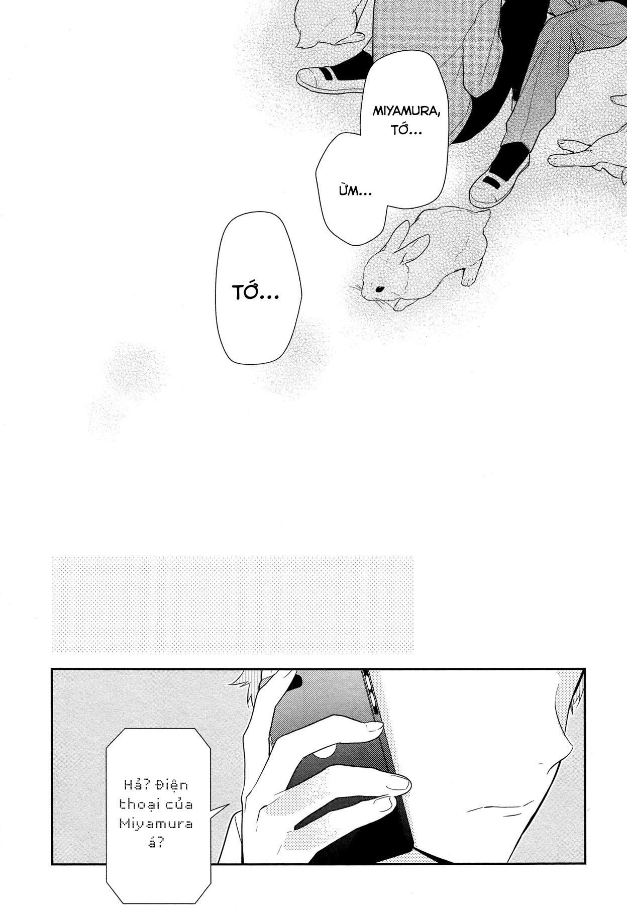 Horimiya Chap 55 - Next Chap 56