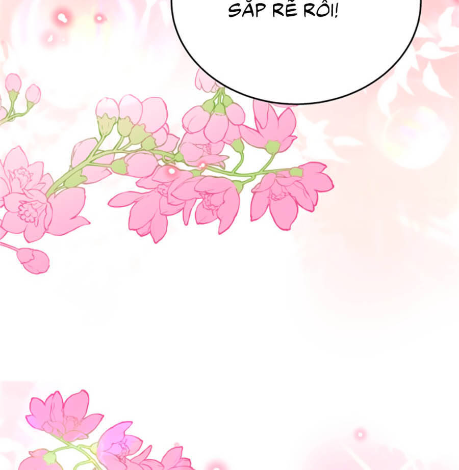 Hotboy Quốc Dân Là Nữ Chap 185 - Next Chap 186