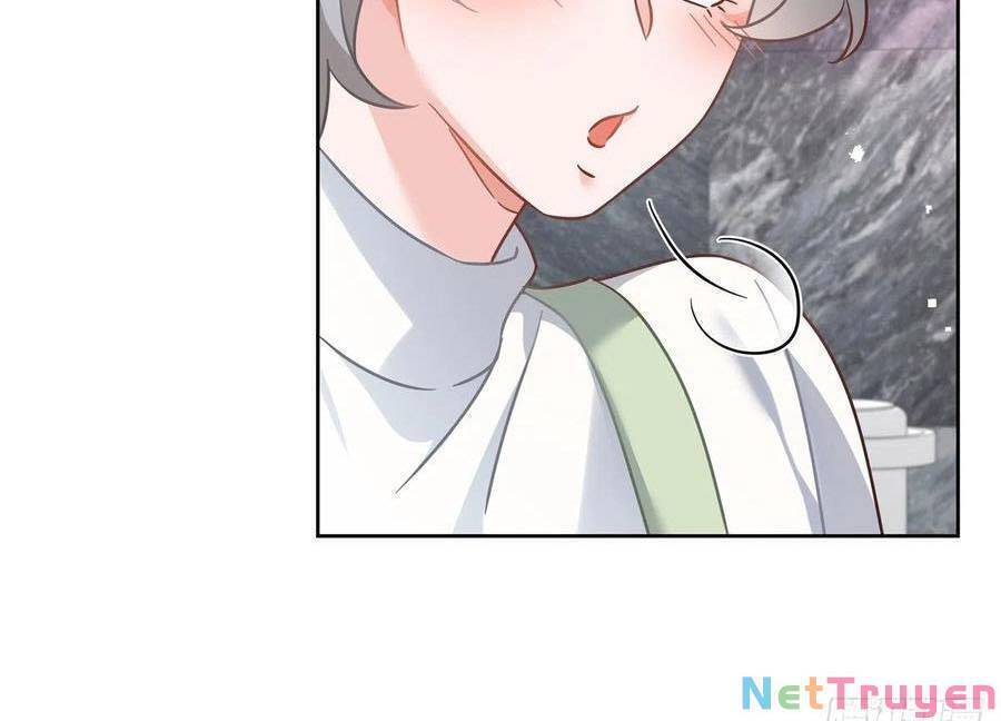 Hotboy Quốc Dân Là Nữ Chap 242 - Next Chap 243