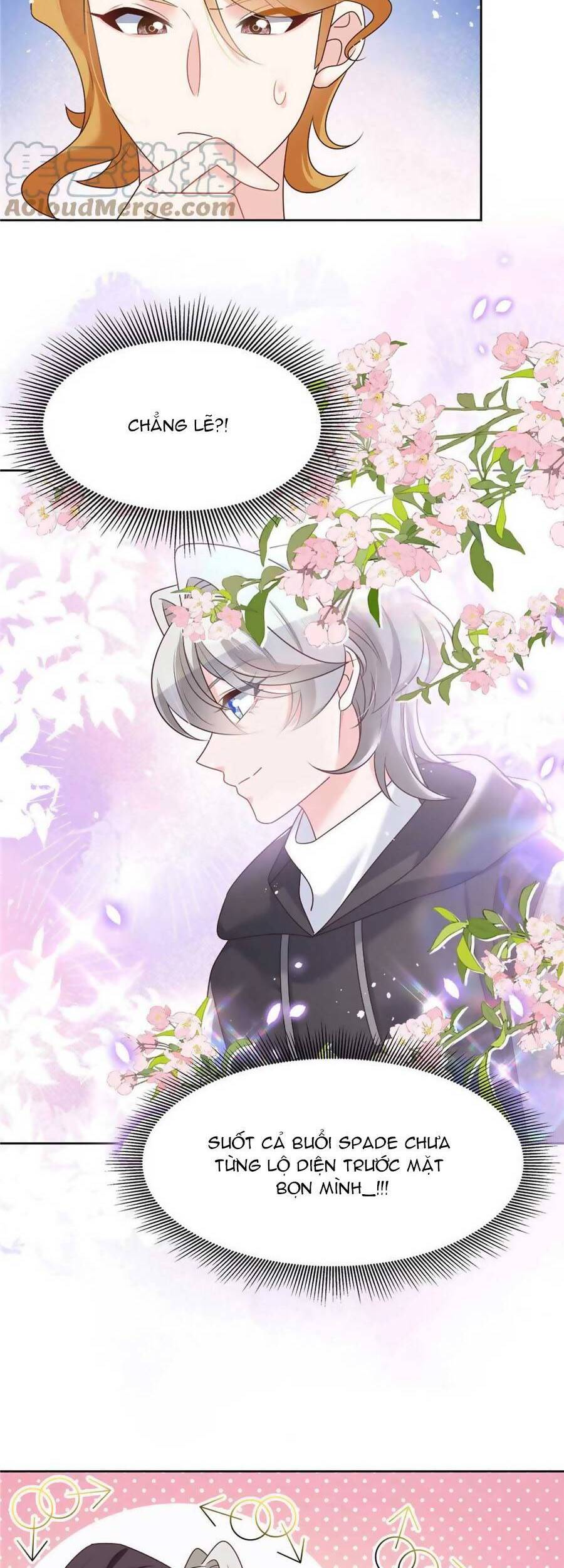 Hotboy Quốc Dân Là Nữ Chap 262 - Next Chap 263