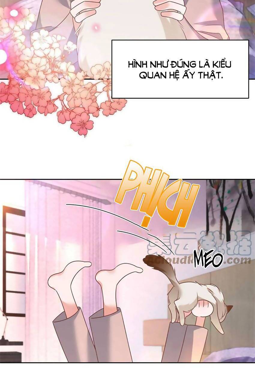 Hotboy Quốc Dân Là Nữ Chap 304 - Next Chap 305