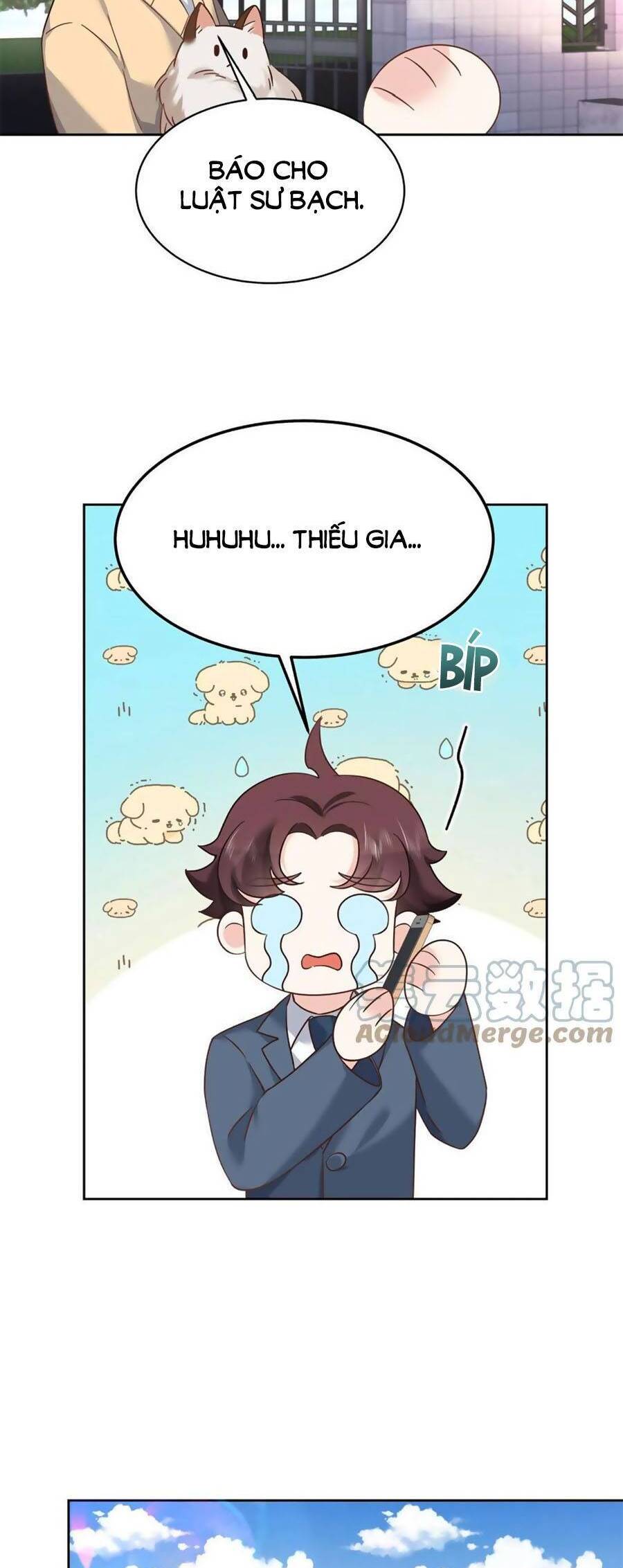 Hotboy Quốc Dân Là Nữ Chap 310 - Next Chap 311