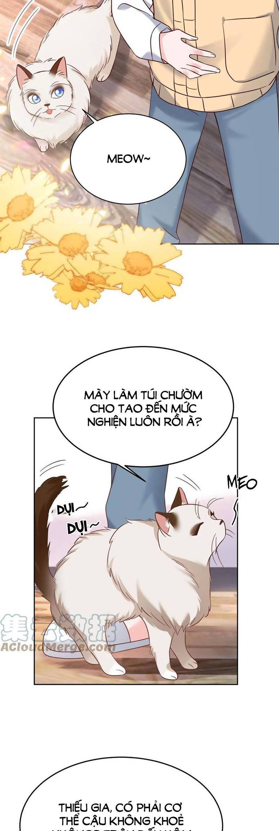 Hotboy Quốc Dân Là Nữ Chap 310 - Next Chap 311