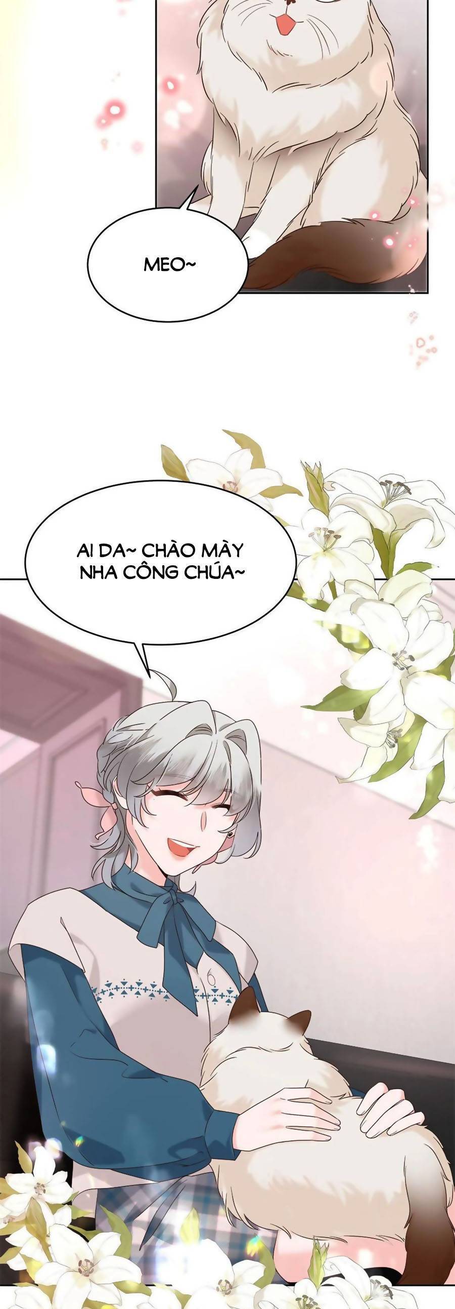 Hotboy Quốc Dân Là Nữ Chap 336 - Next Chap 337