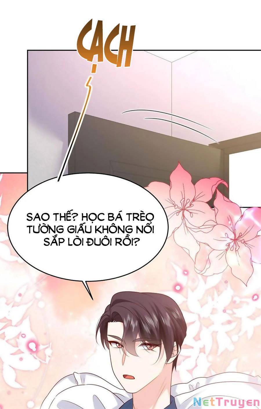 Hotboy Quốc Dân Là Nữ Chap 345 - Next Chap 346