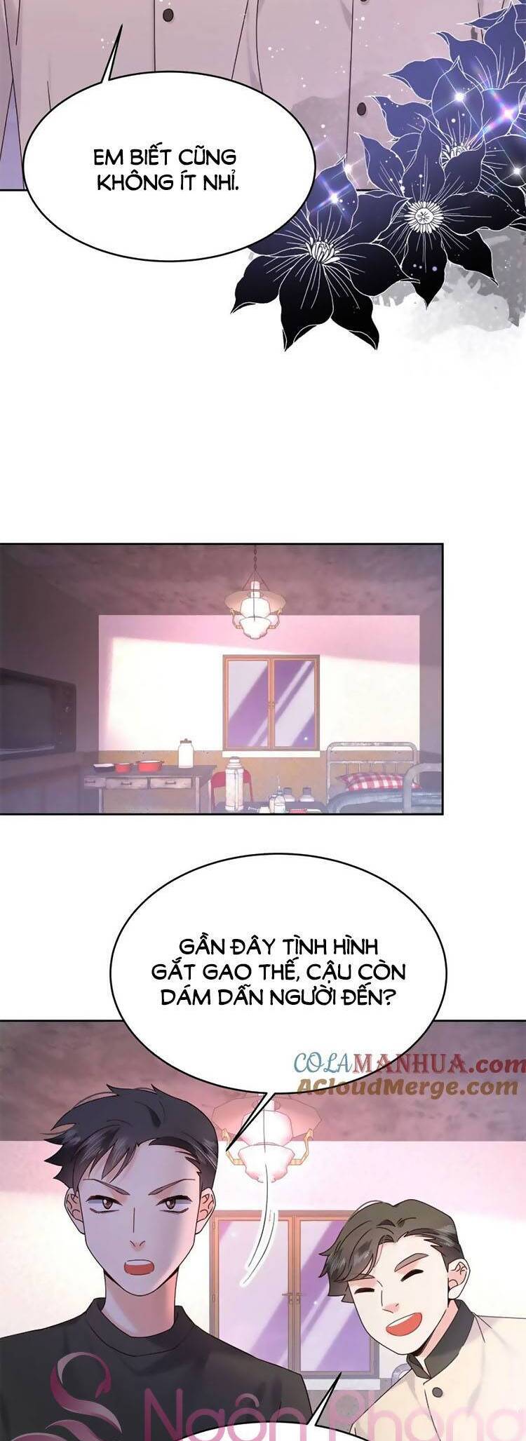 Hotboy Quốc Dân Là Nữ Chap 378 - Next Chap 379