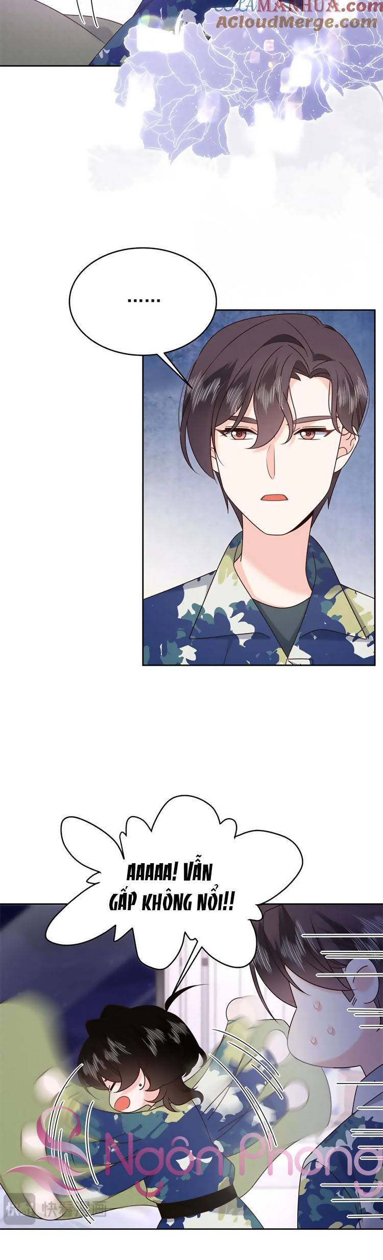 Hotboy Quốc Dân Là Nữ Chap 442 - Next Chap 443