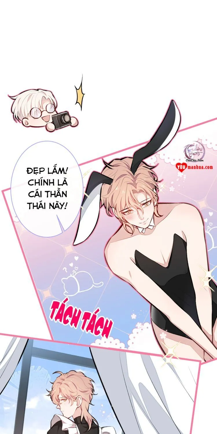 Hotsearch Của Ảnh Đế Chap 1 - Next Chap 2