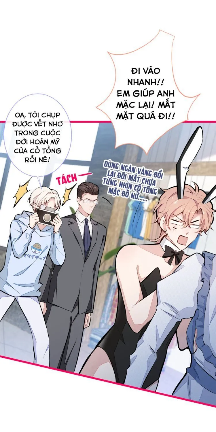 Hotsearch Của Ảnh Đế Chap 1 - Next Chap 2