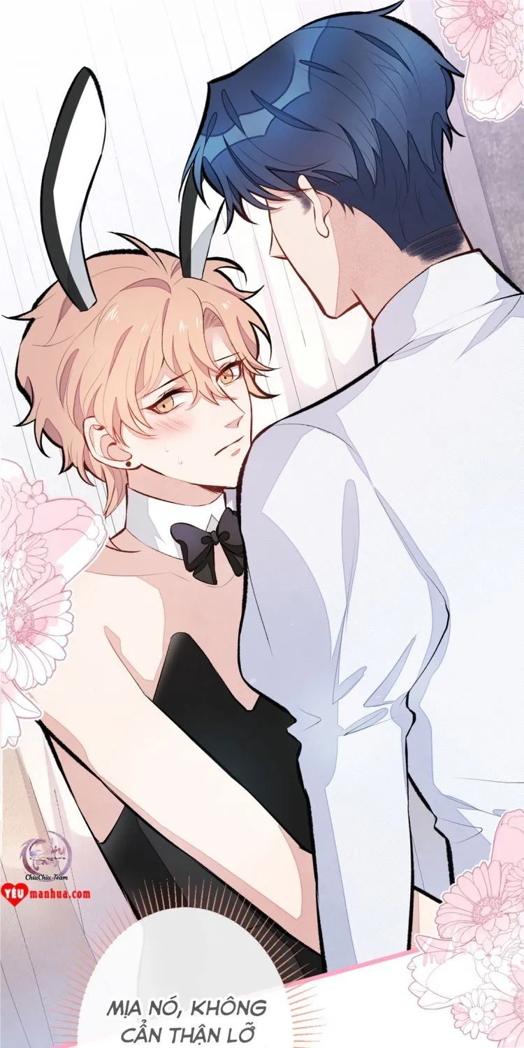Hotsearch Của Ảnh Đế Chap 1 - Next Chap 2