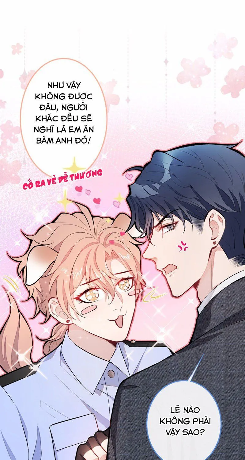 Hotsearch Của Ảnh Đế Chap 10 - Next Chap 11