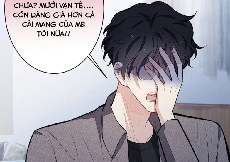 Hotsearch Của Ảnh Đế Chap 100 - Next Chap 101