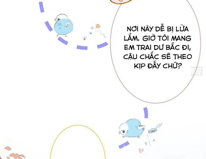 Hotsearch Của Ảnh Đế Chap 106 - Next Chap 107