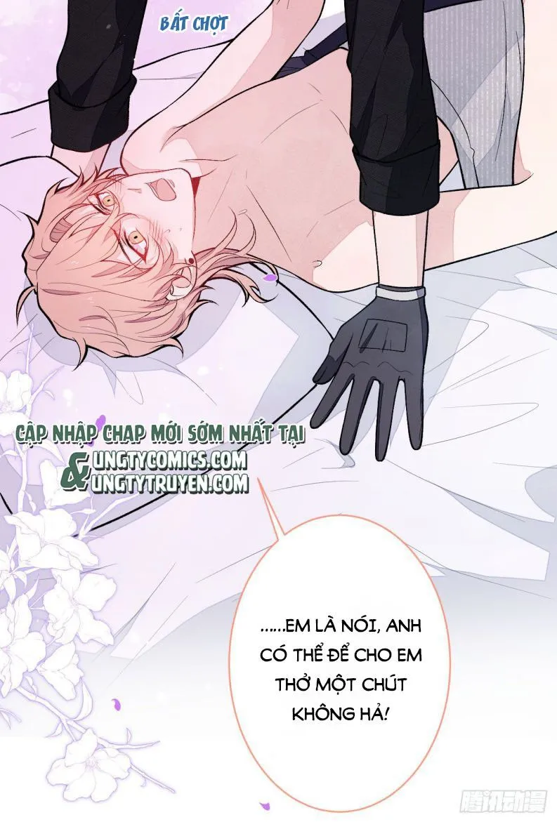 Hotsearch Của Ảnh Đế Chap 113 - Next Chap 114
