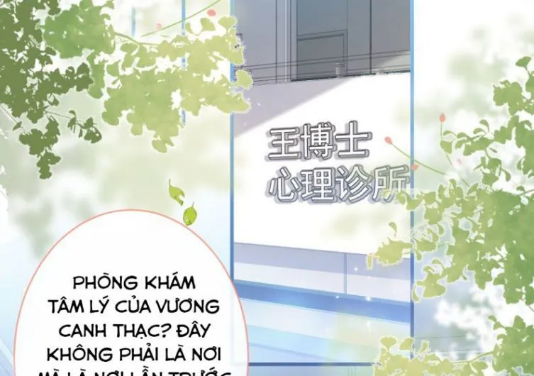 Hotsearch Của Ảnh Đế Chap 117 - Next Chap 118