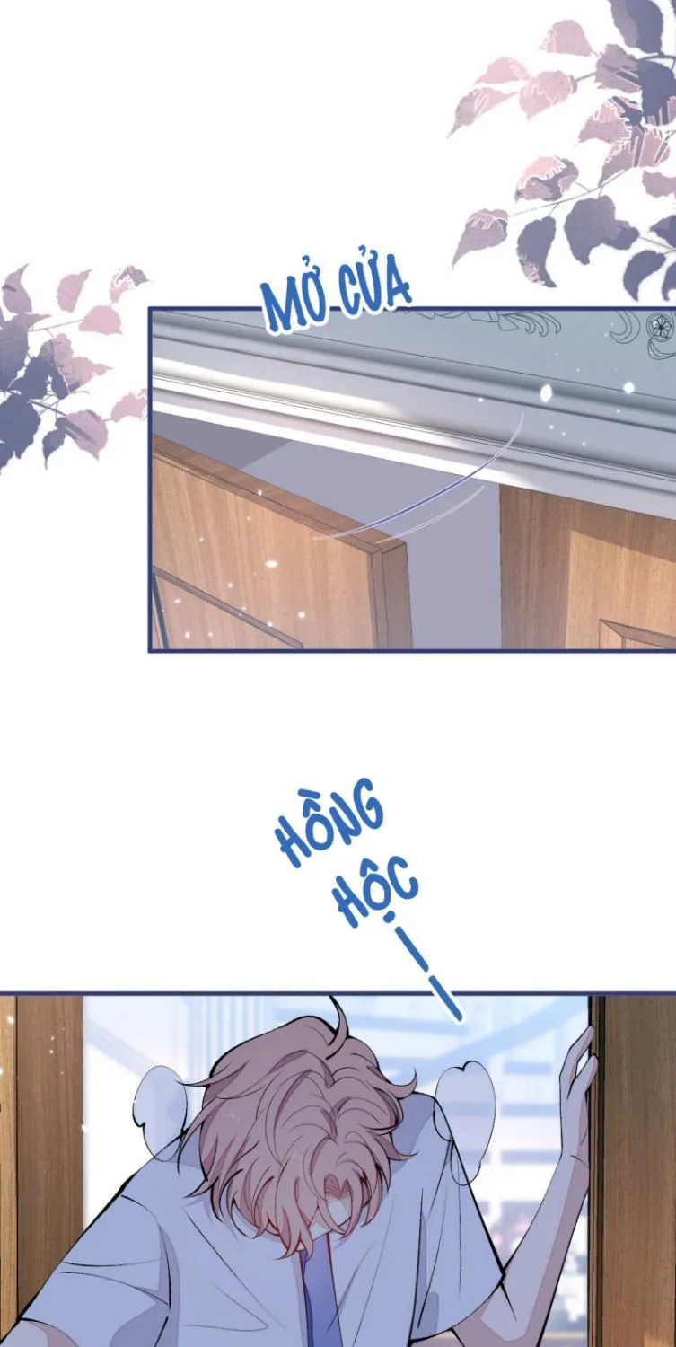 Hotsearch Của Ảnh Đế Chap 134 - Next Chap 135