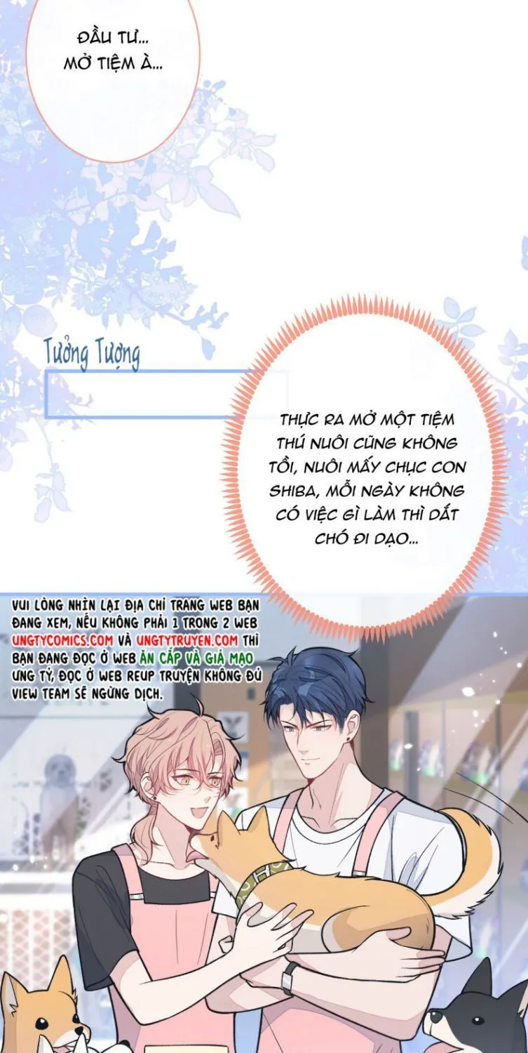 Hotsearch Của Ảnh Đế Chap 134 - Next Chap 135