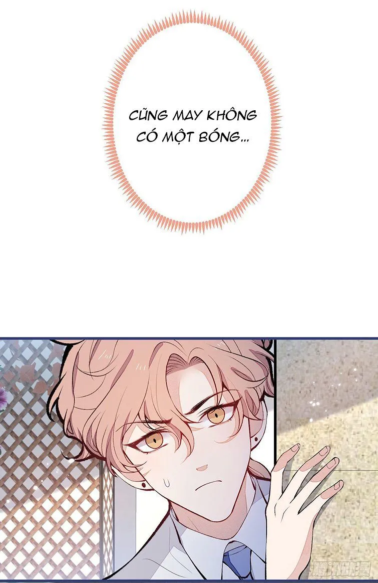 Hotsearch Của Ảnh Đế Chap 137 - Next Chap 138