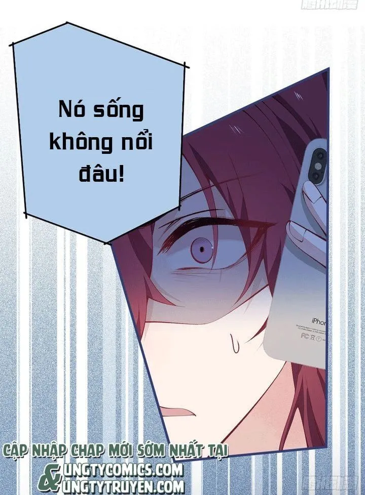 Hotsearch Của Ảnh Đế Chap 143 - Next Chap 144