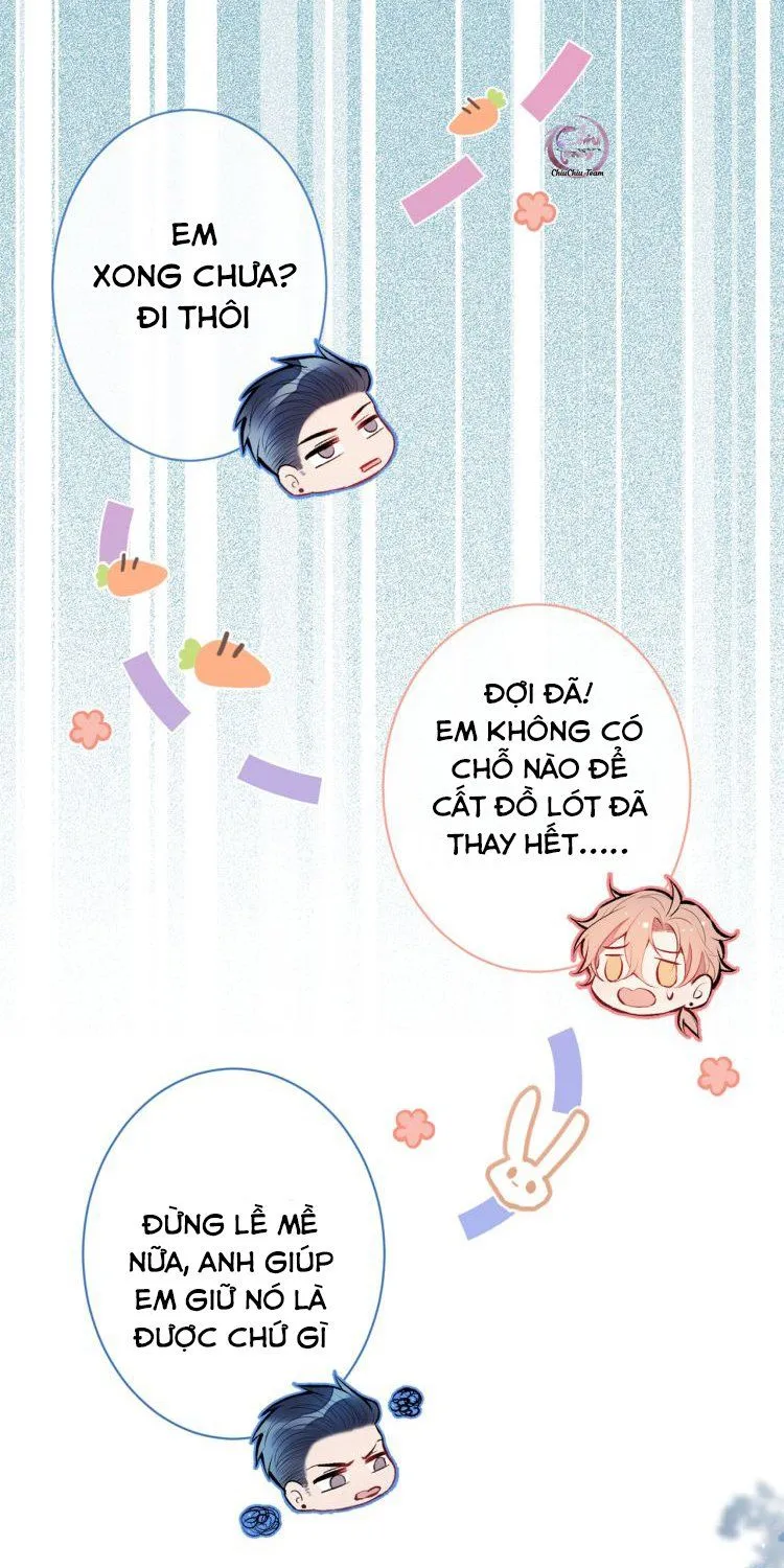 Hotsearch Của Ảnh Đế Chap 15 - Next Chap 16