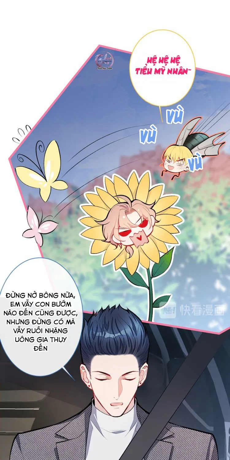 Hotsearch Của Ảnh Đế Chap 15 - Next Chap 16