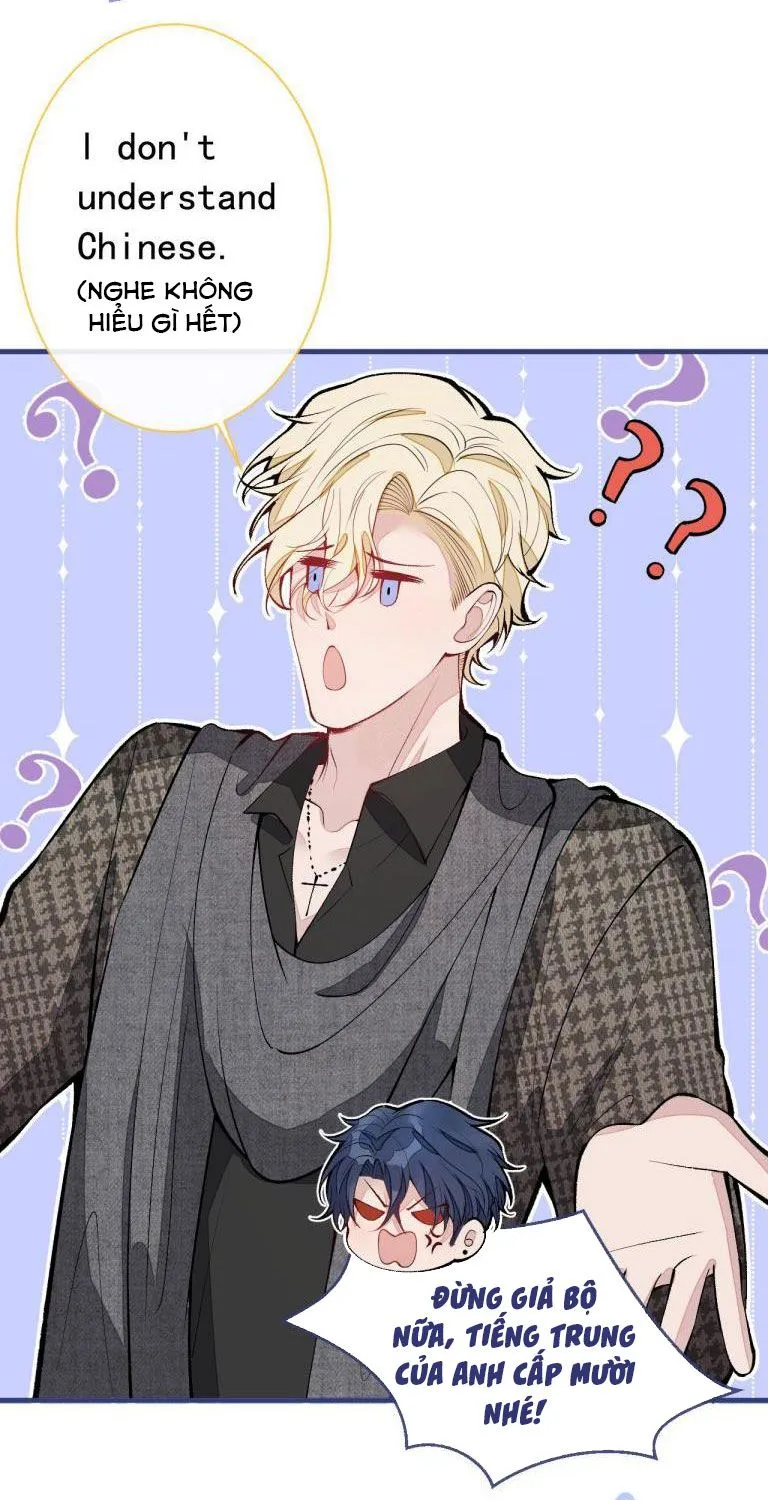 Hotsearch Của Ảnh Đế Chap 156 - Next Chap 157