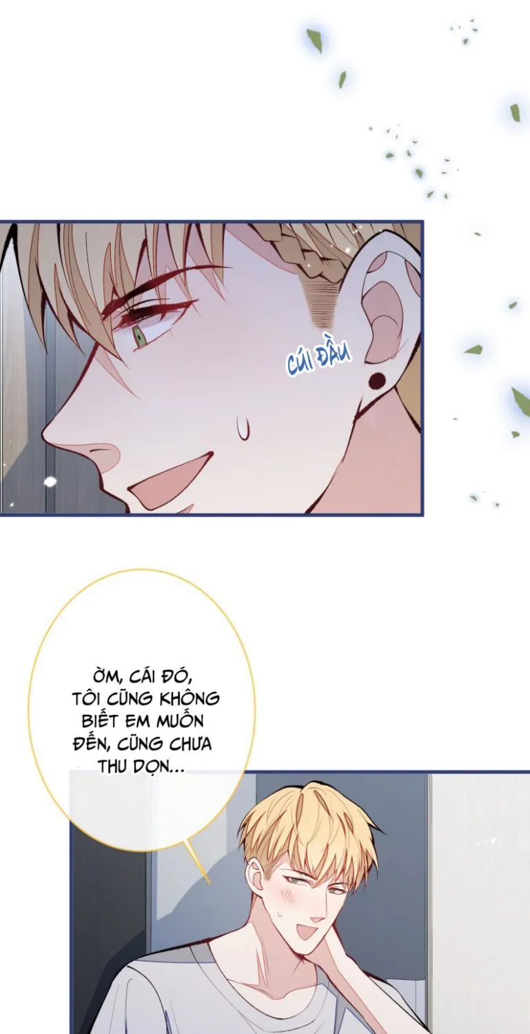 Hotsearch Của Ảnh Đế Chap 158 - Next Chap 159