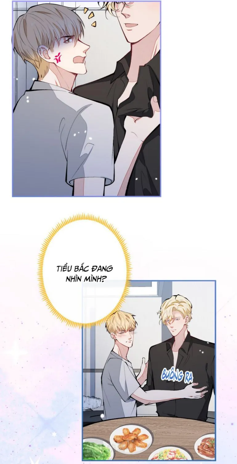 Hotsearch Của Ảnh Đế Chap 158 - Next Chap 159