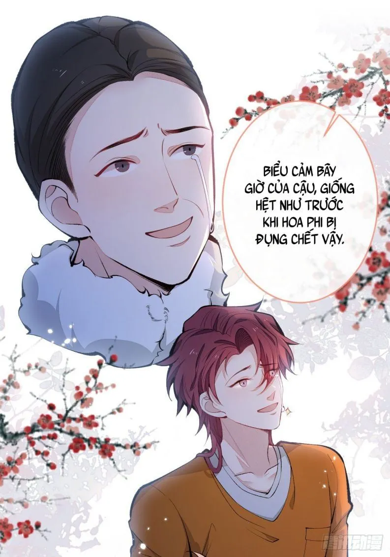Hotsearch Của Ảnh Đế Chap 166 - Next Chap 167